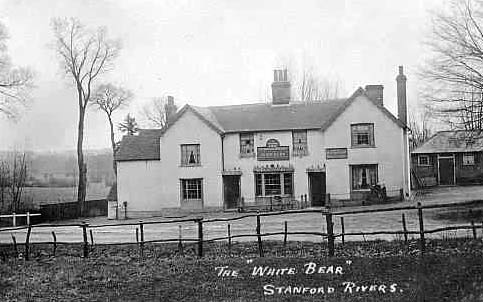 white-bear