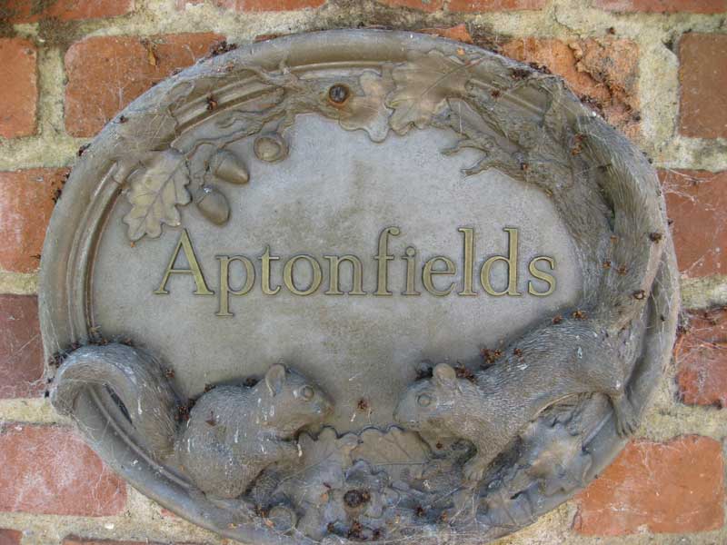 aptonfields