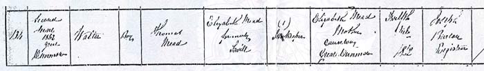 mead-walter-birth
