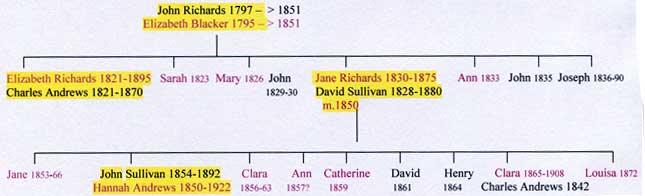 richards-jane-tree