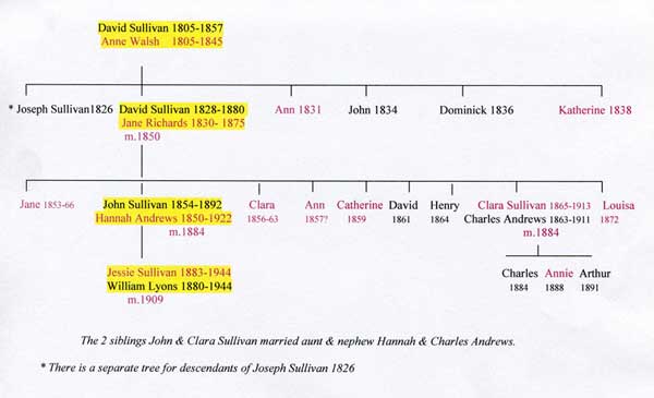 sullivan-1805-2012-tree