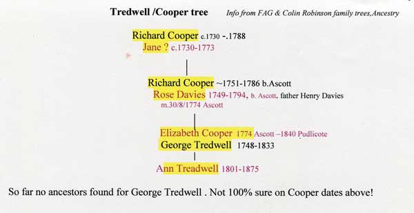 tredwell-tree